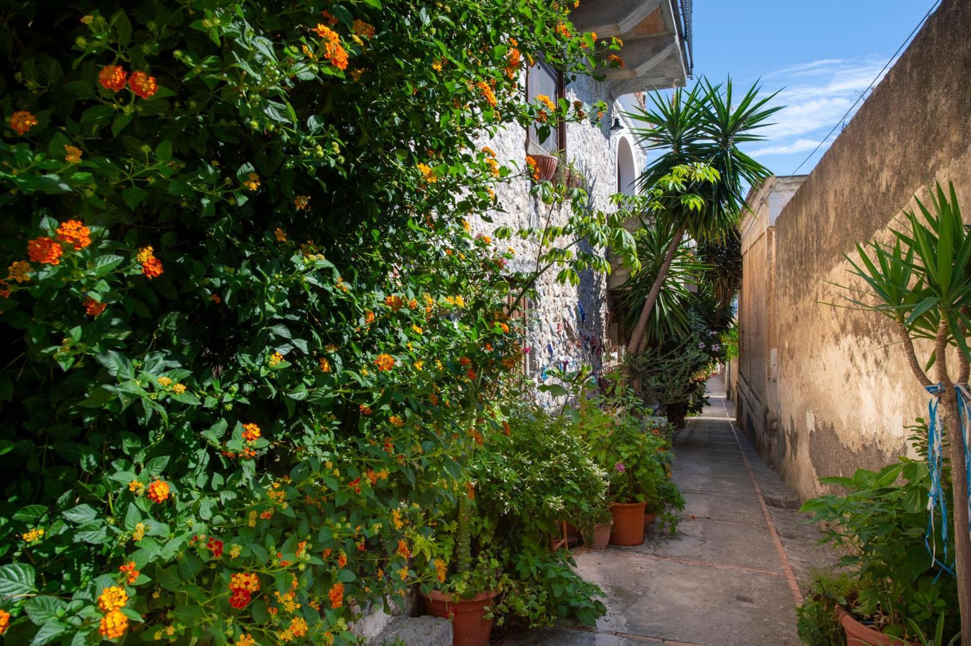 Apartment Casa Fiorellina Praiano